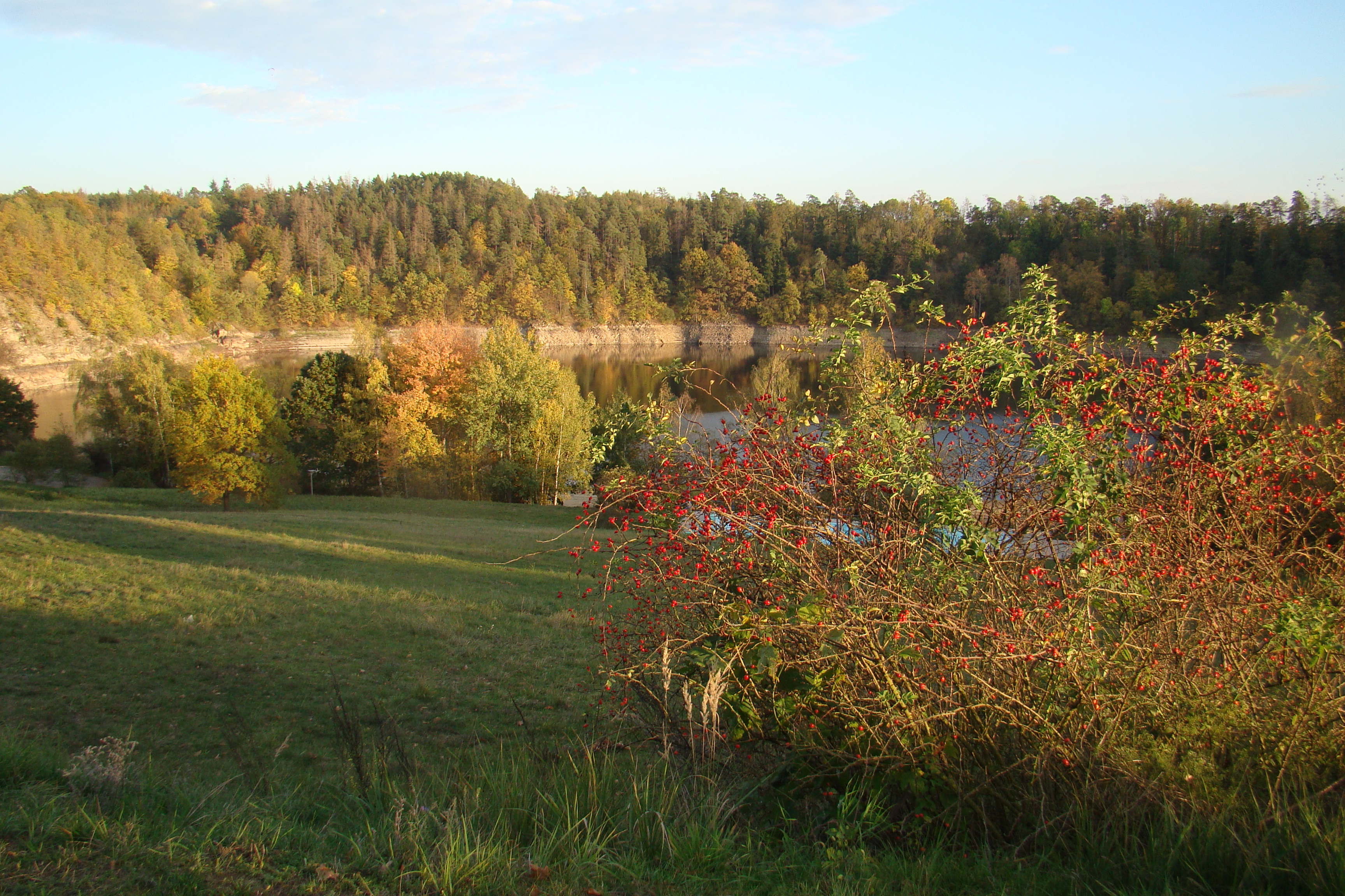 DSC06490